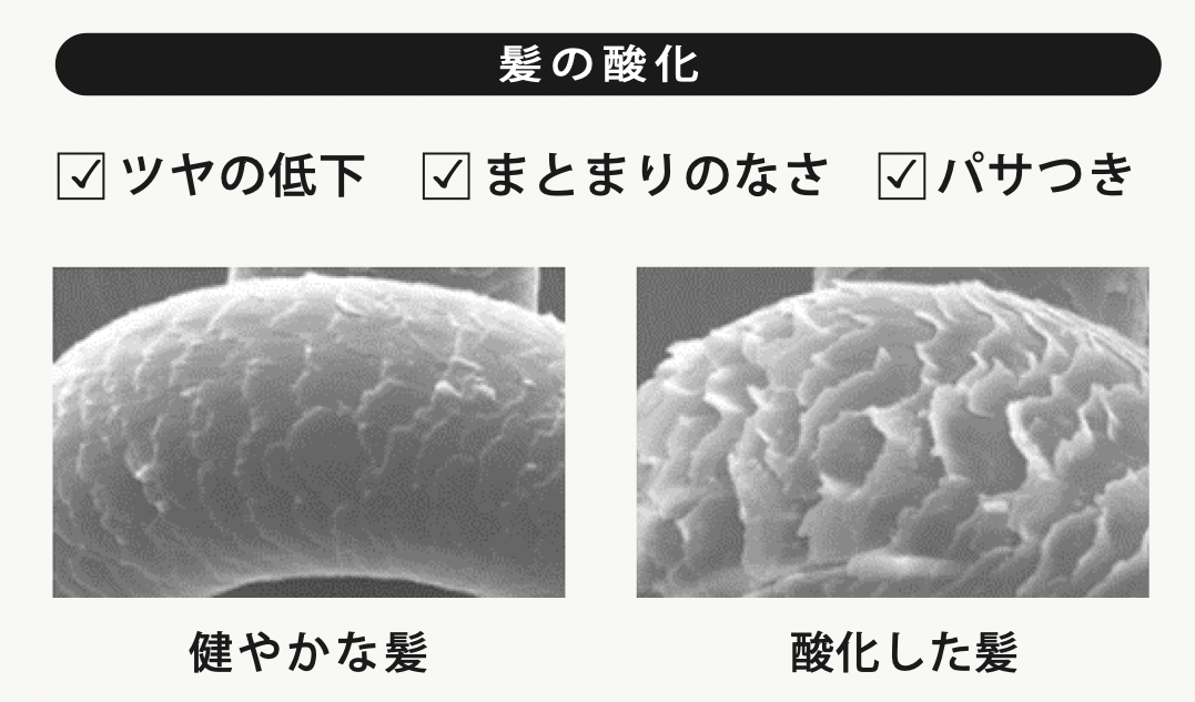 HAIR KITCHEN / ヘアキッチン Worldbiyo Inc. HAIR KITCHEN / ヘアキッチン HAIR